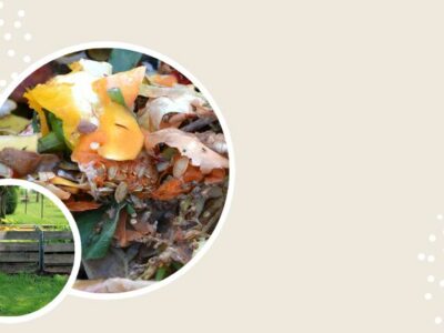 compost